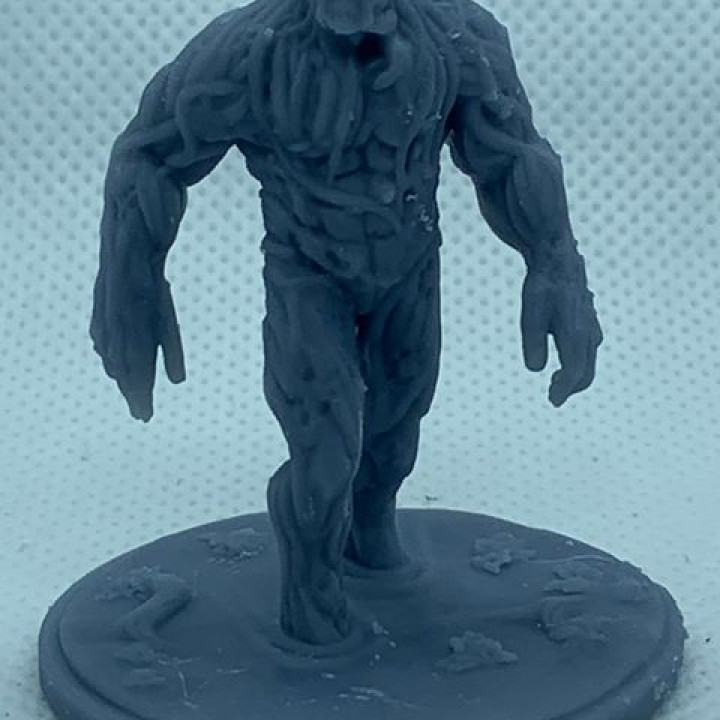 3rd Guardian: Swamp King