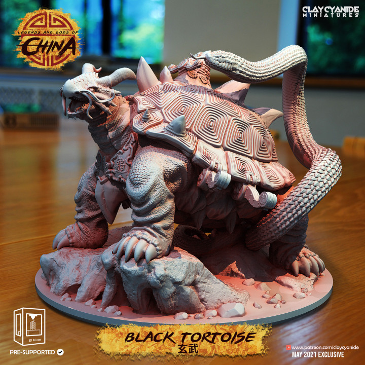 Black Tortoise