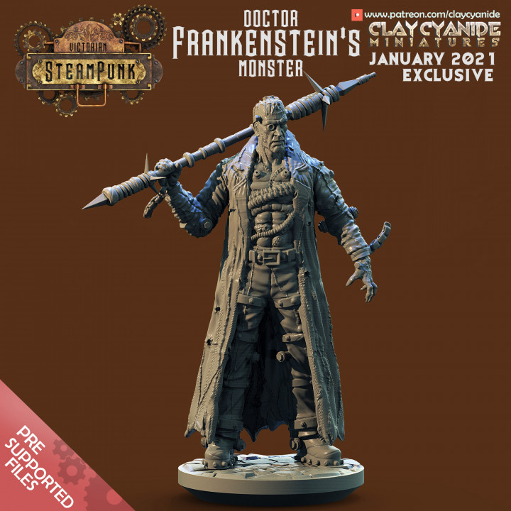Dr. Frankenstein's Monster