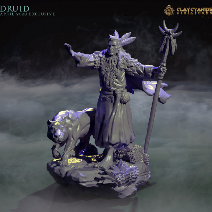 Druid