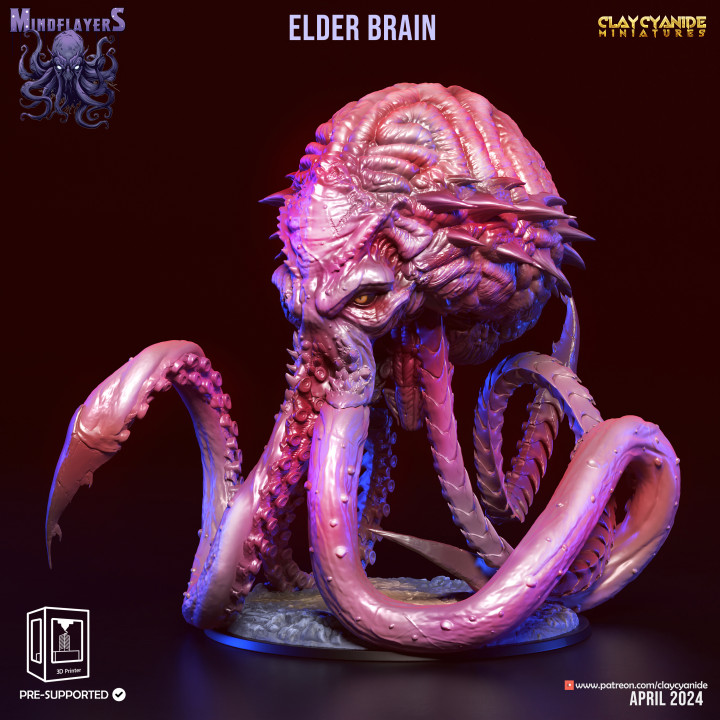 Elder Brain