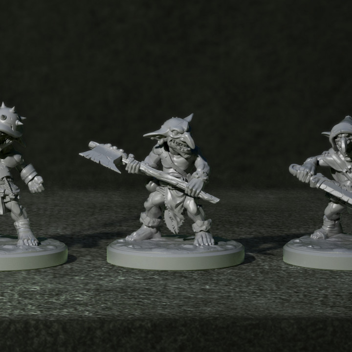 Goblin Raider 1
