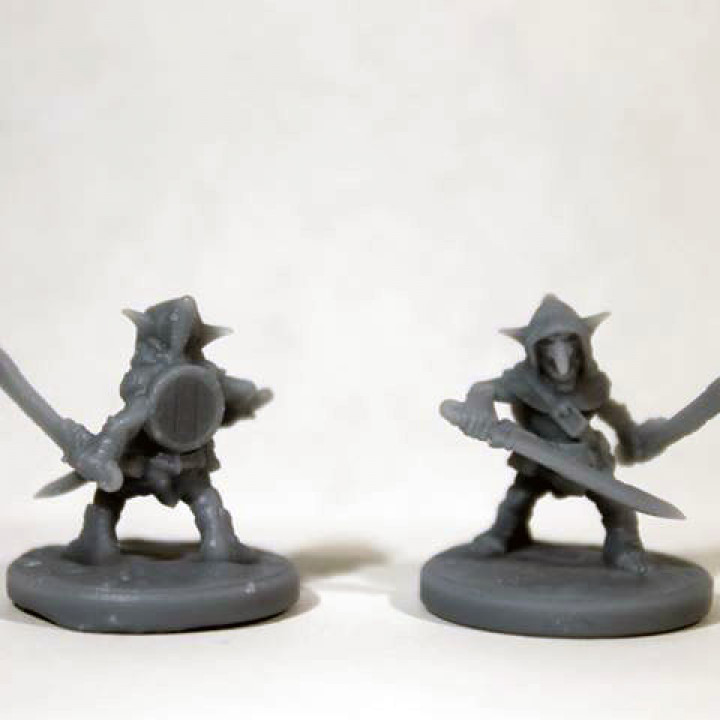 Goblin Raider 2