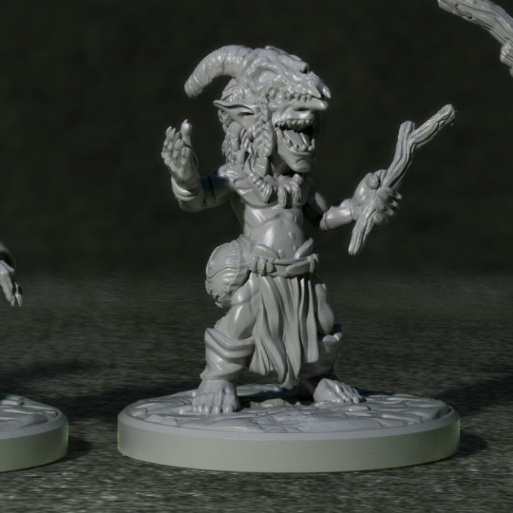 Goblin Shaman 2