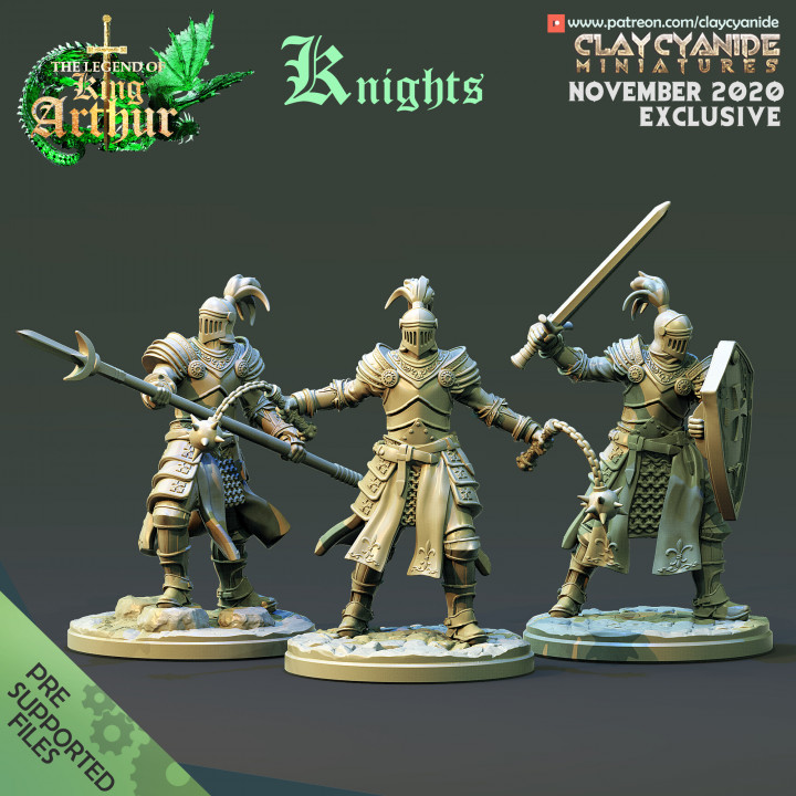 Knights — Fantasy Heroes & Champions STL miniature by Clay Cyanide