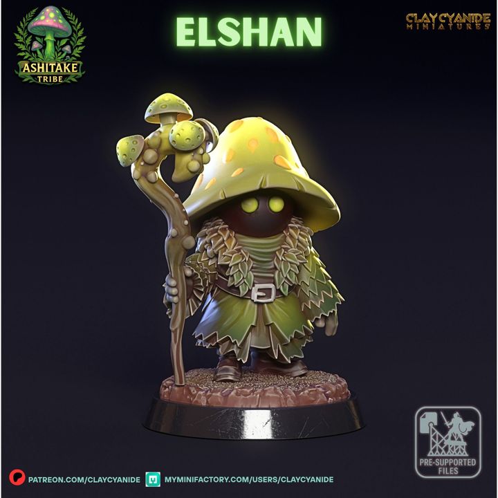 Mushroom Elshan