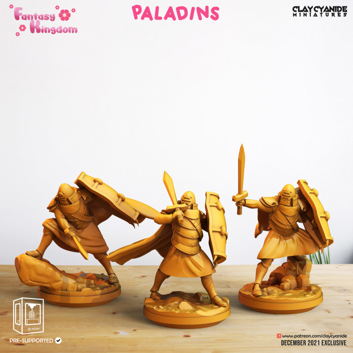 Paladins