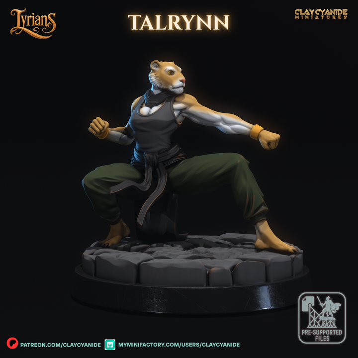 Talrynn — Fantasy Heroes & Champions STL miniature by Clay Cyanide